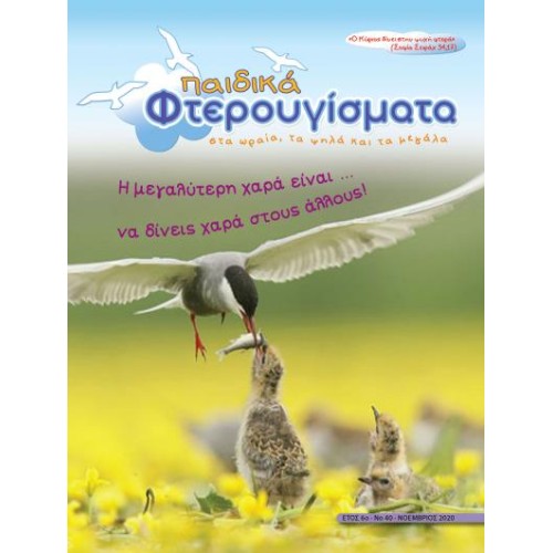 ΤΕΥΧΟΣ 40 Νοέμβριος 2020